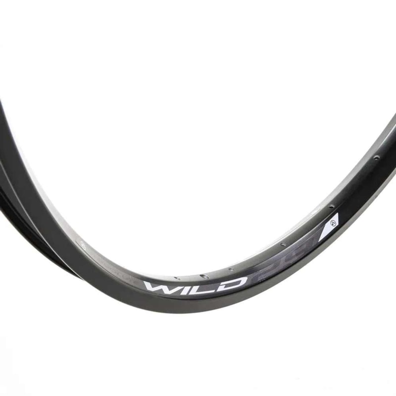 ARO 29 ABSOLUTE WILD TL DISC 28F