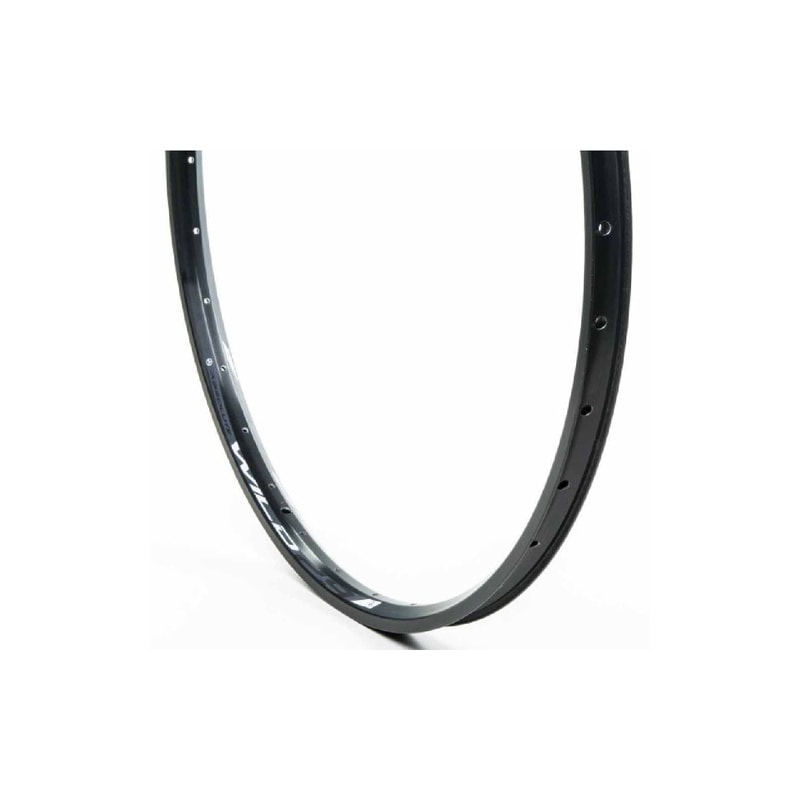 ARO 29 ABSOLUTE WILD TL DISC 28F