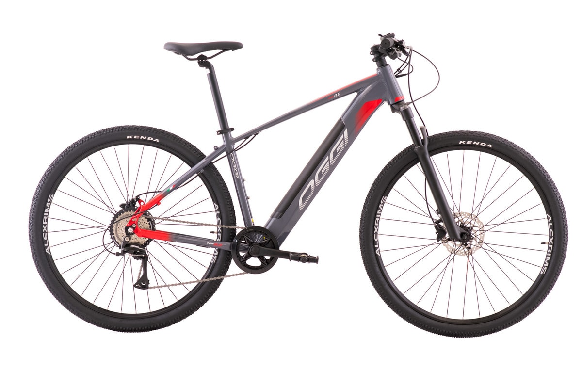 BICICLETA ELETRICA OGGI BIG WHEEL 8.0 2024 - ProSport Bike