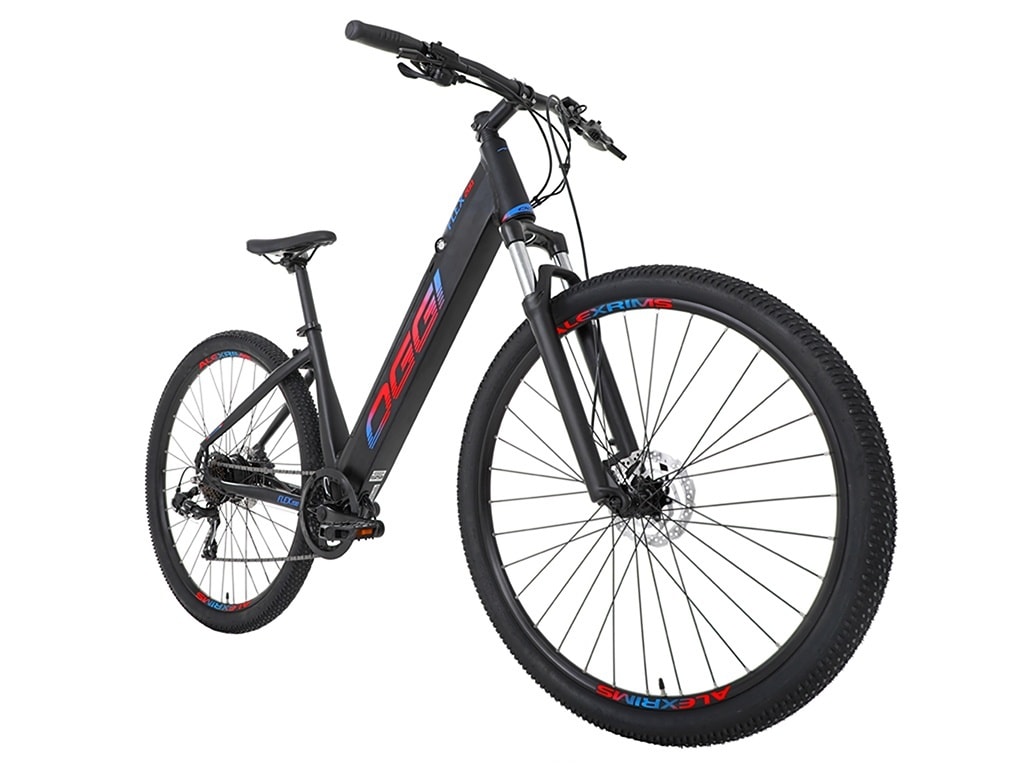 BICICLETA ELETRICA OGGI FLEX 200 - ProSport Bike