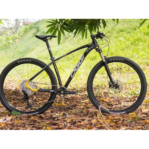 BICICLETA OGGI BIG WHEEL 7.2 2024