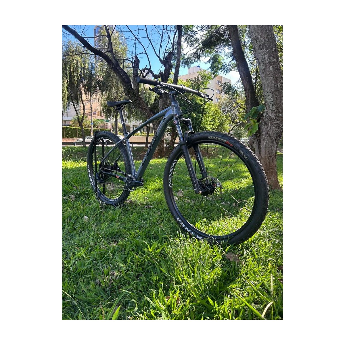 BICICLETA OGGI BIG WHEEL 7.5 ED LIMITADA