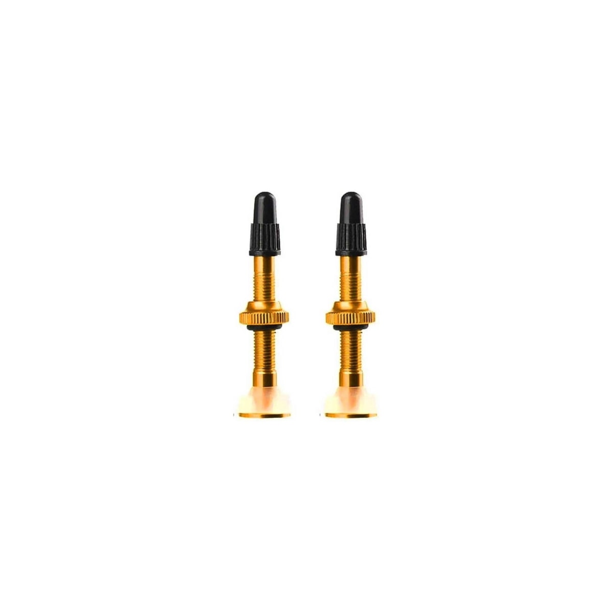 BICO TUBELESS ABSOLUTE 48MM DOURADO