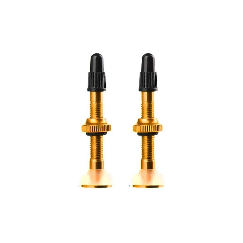 BICO TUBELESS ABSOLUTE 48MM DOURADO